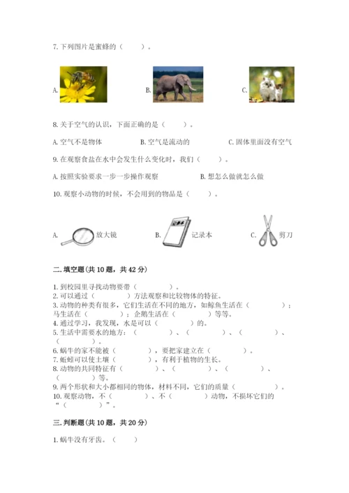 教科版一年级下册科学期末测试卷【考点提分】.docx