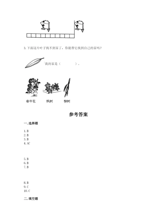 教科版一年级上册科学期末测试卷（网校专用）.docx