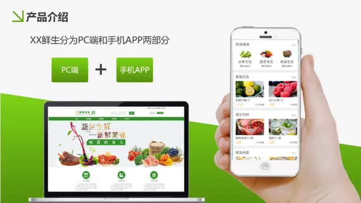 美味生鲜项目运营策划书PPT模板