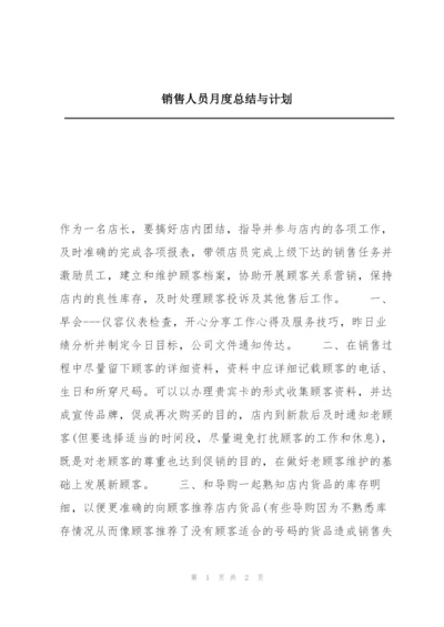 销售人员月度总结与计划.docx