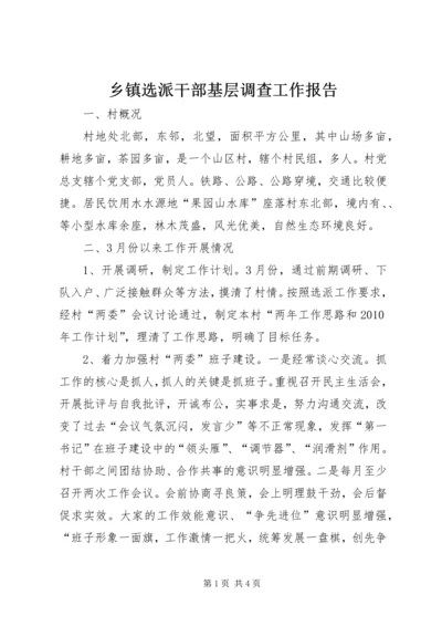乡镇选派干部基层调查工作报告.docx