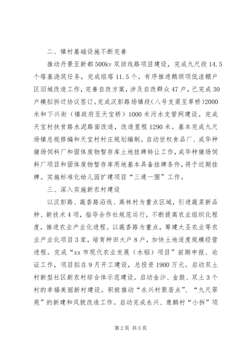 乡镇政府上半年工作总结和下半年工作计划.docx