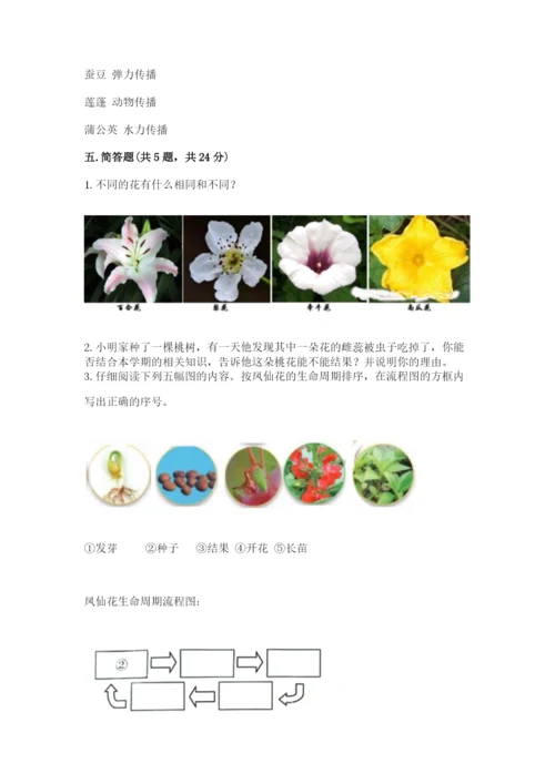 科学四年级下册第一单元《植物的生长变化》测试卷（含答案）.docx