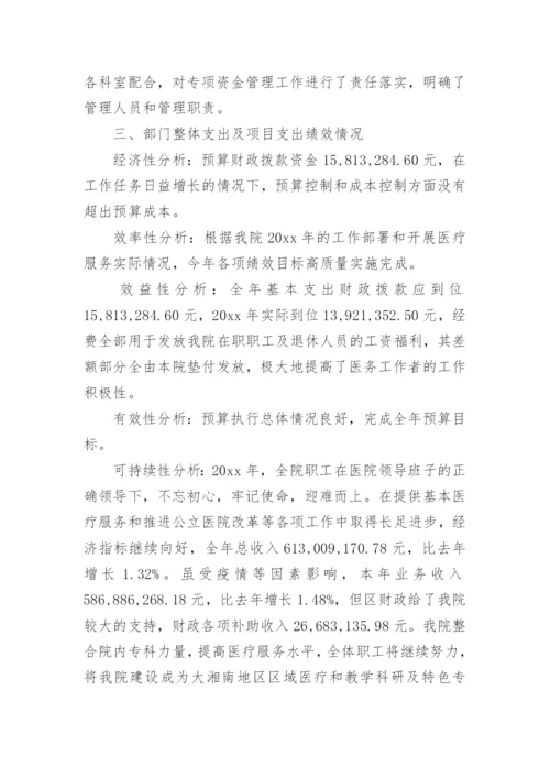 医院绩效自评报告.docx