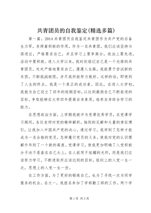 共青团员的自我鉴定(精选多篇).docx