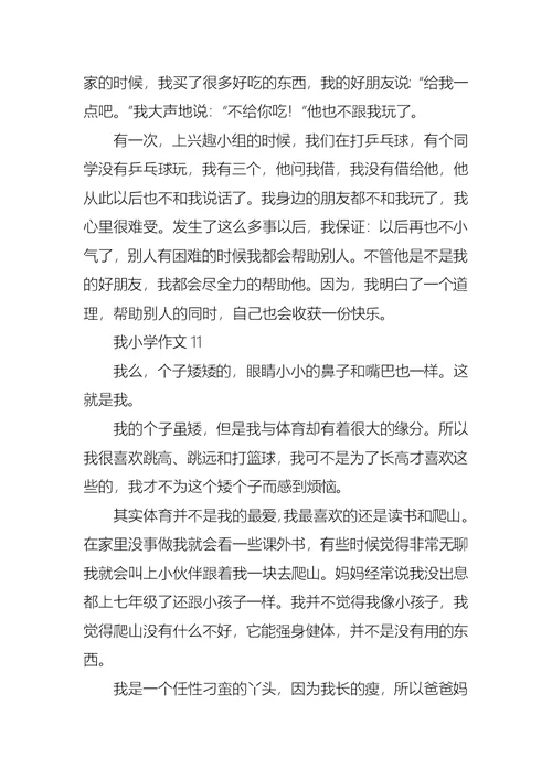 我小学作文集锦15篇
