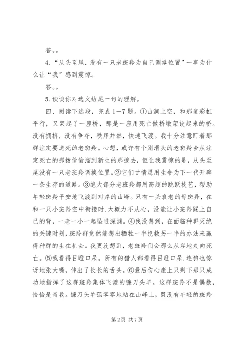 合作社20XX年汇报(未删减) (5).docx