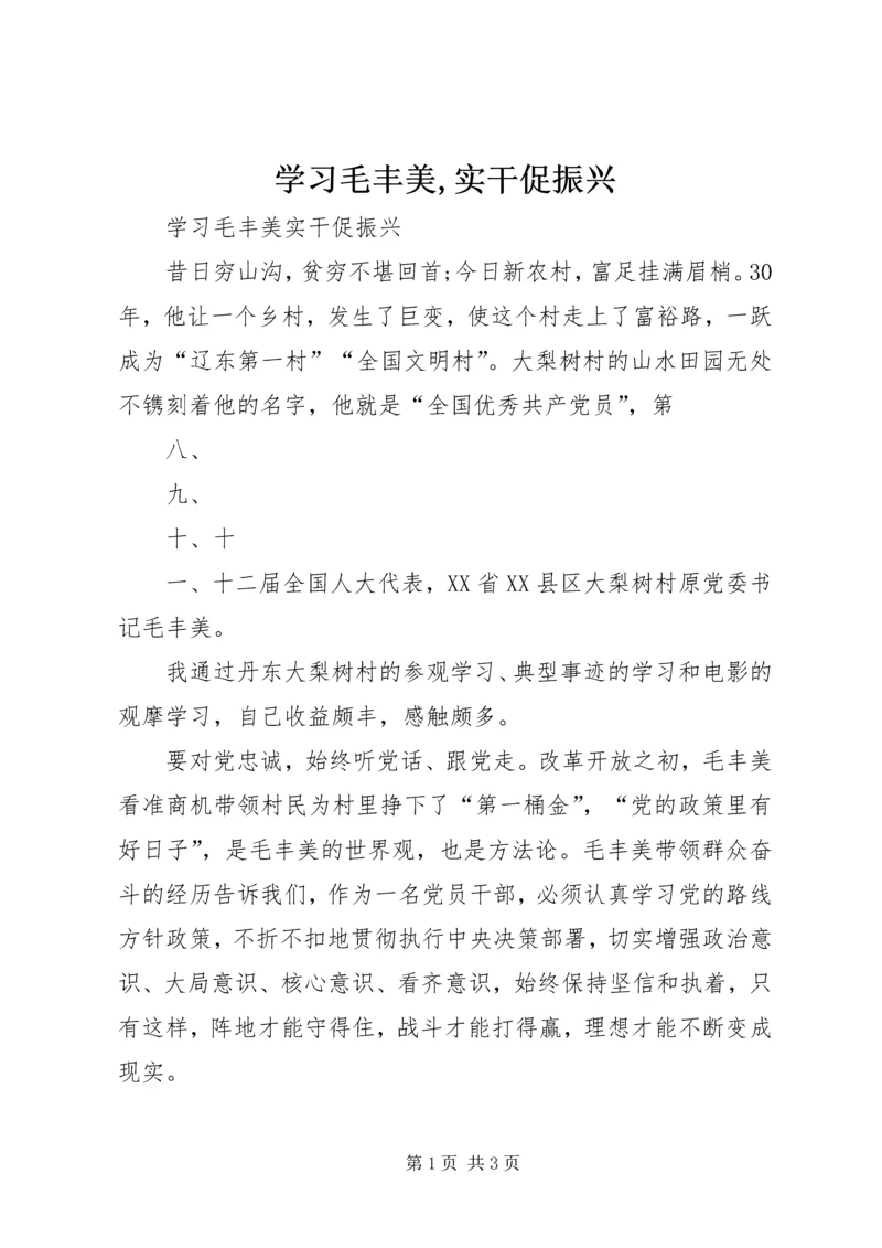 学习毛丰美,实干促振兴 (5).docx