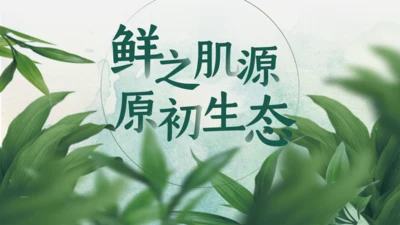 绿色护肤产品_化妆品自然原生态通用PPT