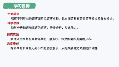 人教版生物七年级上册2.3.1《微生物的分布》课件(共22张PPT)+视频素材