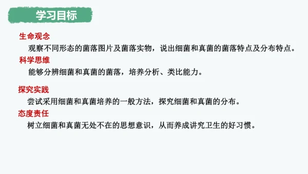 人教版生物七年级上册2.3.1《微生物的分布》课件(共22张PPT)+视频素材