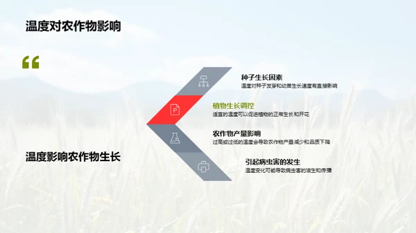 夏至气候与农业