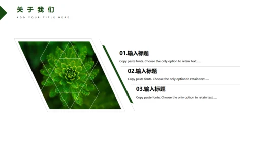 绿色多肉植物商业计划书汇报通用PPT模板