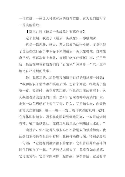 读最后一头战象有感600字.docx