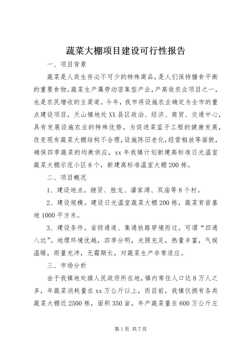 蔬菜大棚项目建设可行性报告 (6).docx