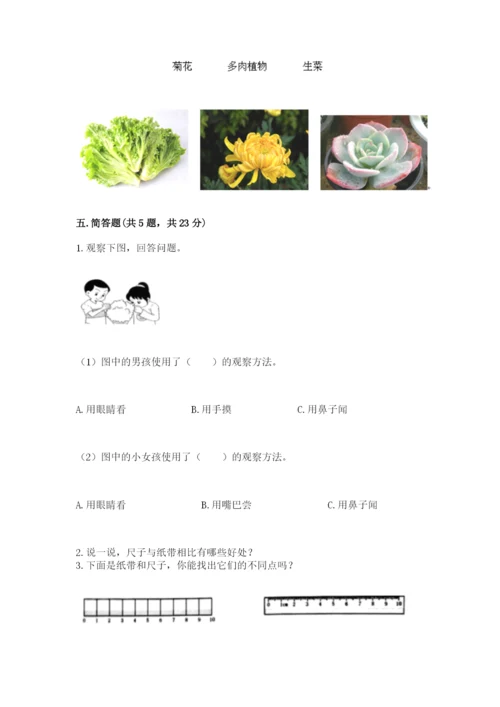 教科版一年级上册科学期末测试卷含答案（最新）.docx