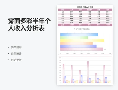 雾面多彩半年个人收入分析表