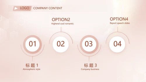 轻奢女神微整形医院介绍工作总结PPT