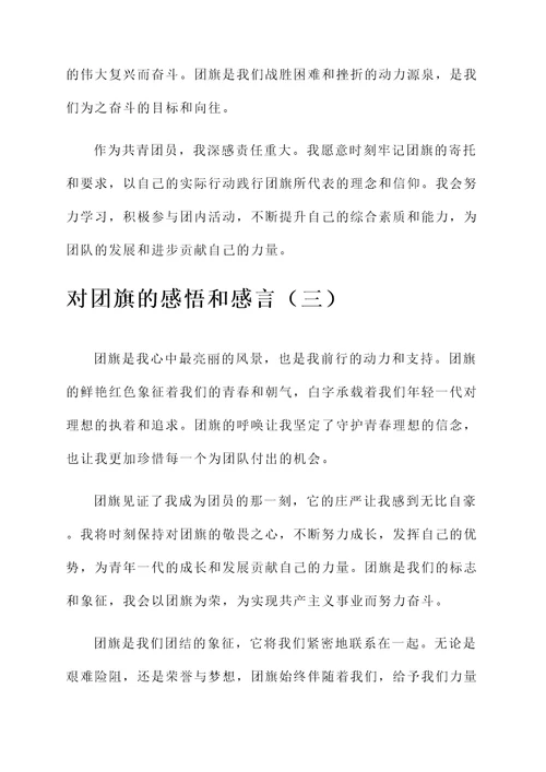 对团旗的感悟和感言