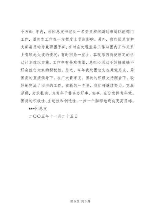 二○○五年度X处共青团工作总结.docx