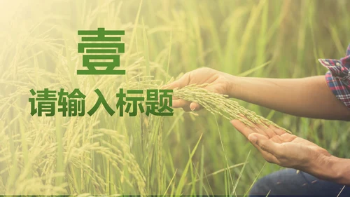 简约实景农民丰收佳节工作汇报PPT模板