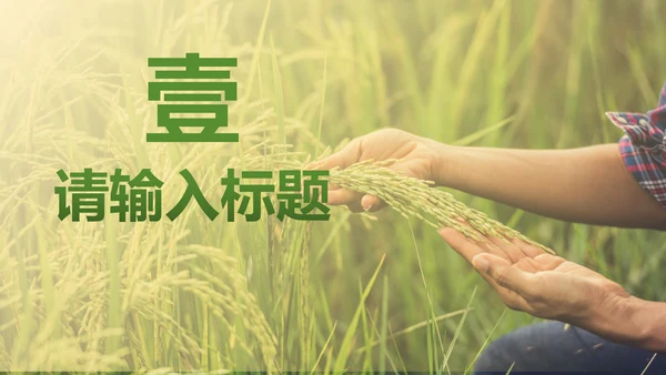 简约实景农民丰收佳节工作汇报PPT模板