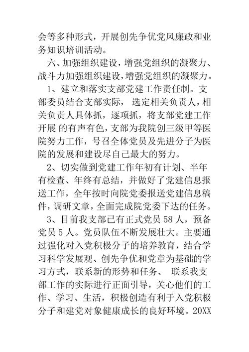 中医院党支部工作总结报告