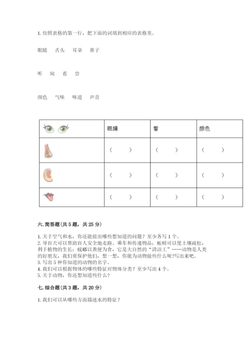 教科版小学科学一年级下册期末测试卷附答案（夺分金卷）.docx