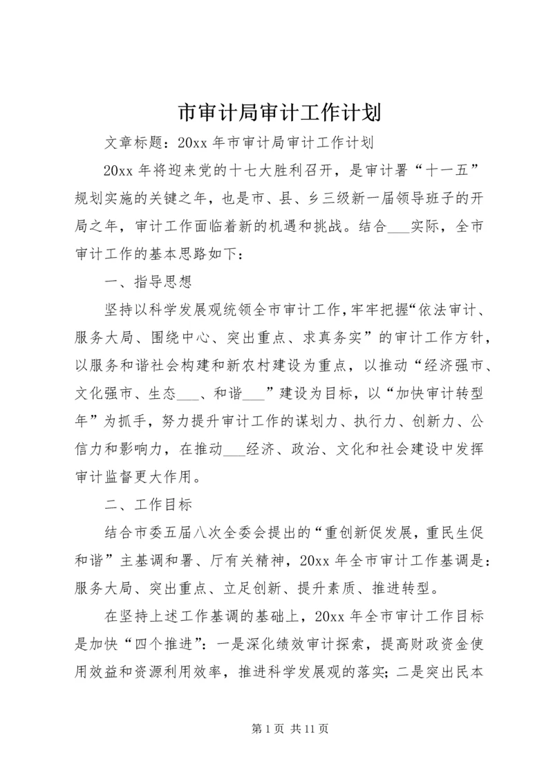 市审计局审计工作计划.docx