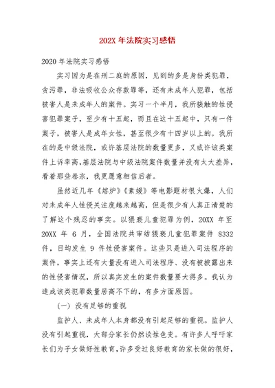 202X年法院实习感悟