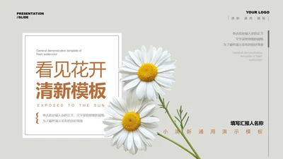 灰色小清新风雏菊总结汇报通用PPT演示模板