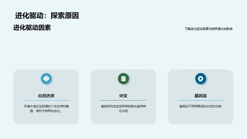 生物进化与基因突变