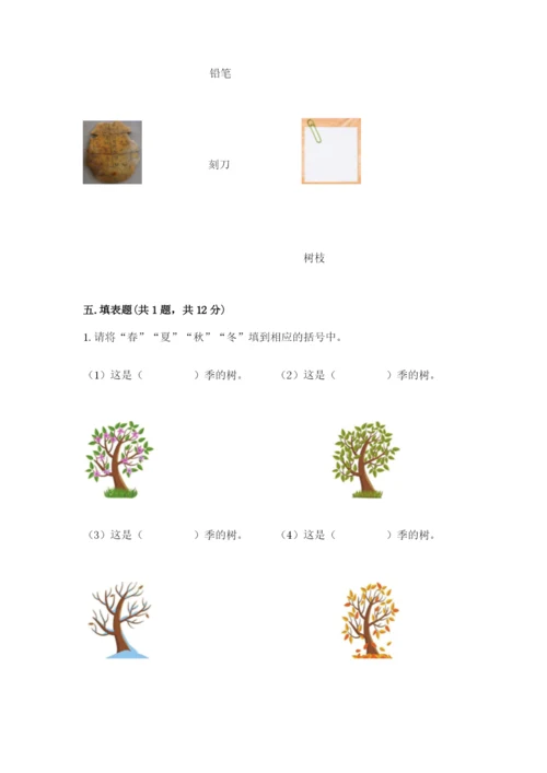 教科版科学二年级上册期末测试卷新版.docx