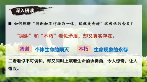 第16课 散文二篇 《永久的生命》课件