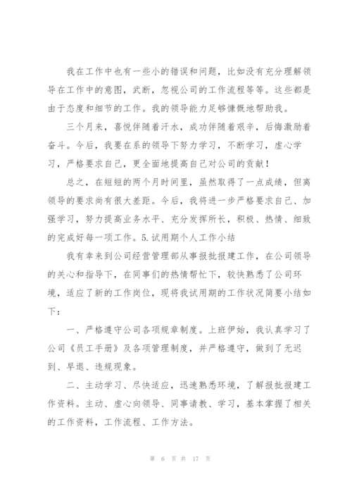 试用期个人工作小结10篇.docx