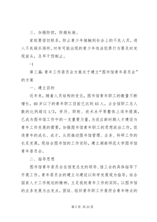 青年工作委员会方案 (2).docx