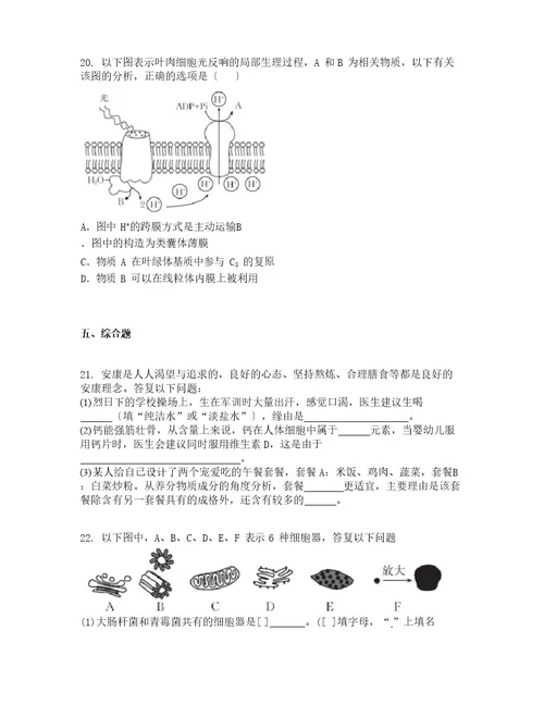 甘肃省庆阳市2023学年度高一上学期期末生物试题