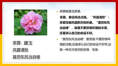 红楼梦选读高中语文教学PPT课件