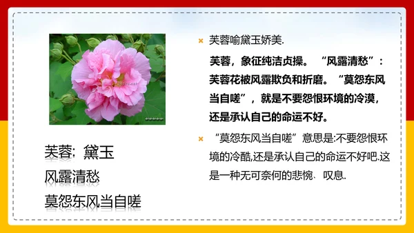 红楼梦选读高中语文教学PPT课件