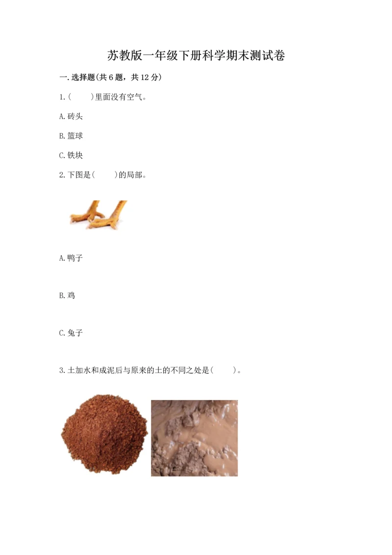 苏教版一年级下册科学期末测试卷及完整答案（全国通用）.docx