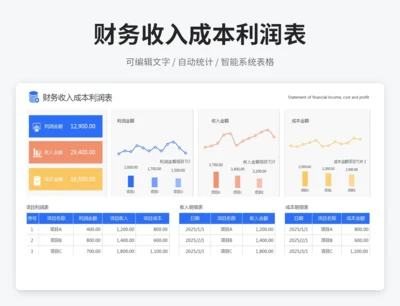 财务收入成本利润表