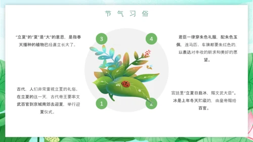 立夏习俗文化荷花池避暑PPT模板