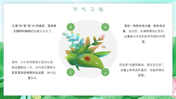 立夏习俗文化荷花池避暑PPT模板