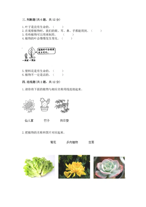 教科版科学一年级上册第一单元《植物》测试卷附参考答案【能力提升】.docx