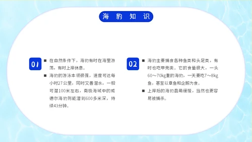 国际海豹日海狮海象通用PPT模板