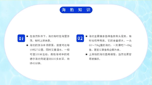 国际海豹日海狮海象通用PPT模板