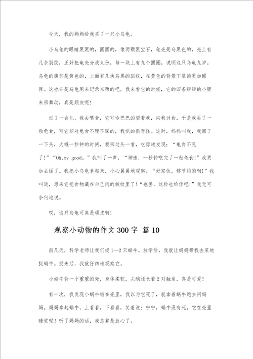 观察小动物的作文300字