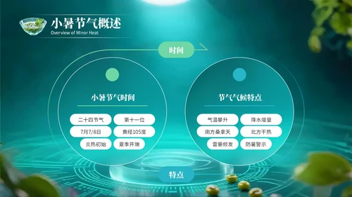 绿色创意风小暑节气讲解节气知识PPT模板