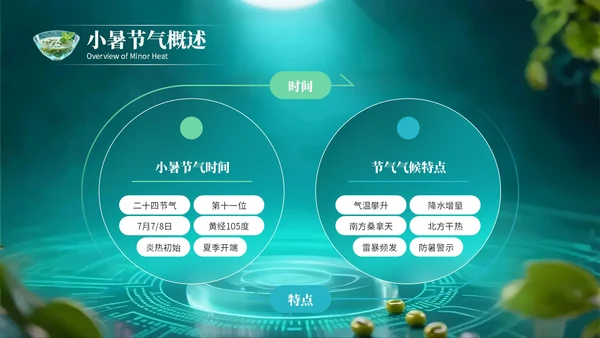 绿色创意风小暑节气讲解节气知识PPT模板