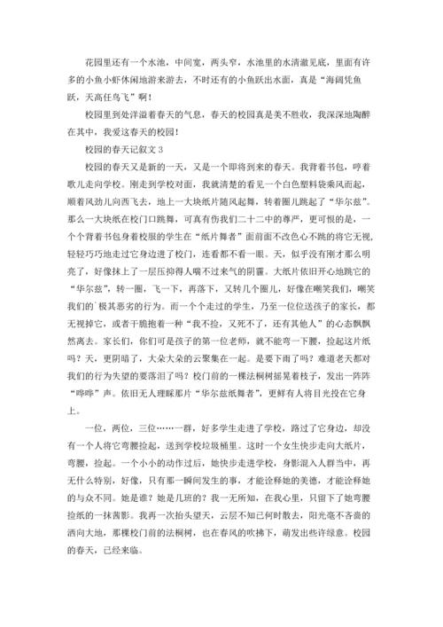 校园的春天记叙文.docx